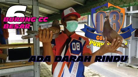 Gong Pee Siap Kan Amunisi Di Tahun Saudara Rindu Gong Pee