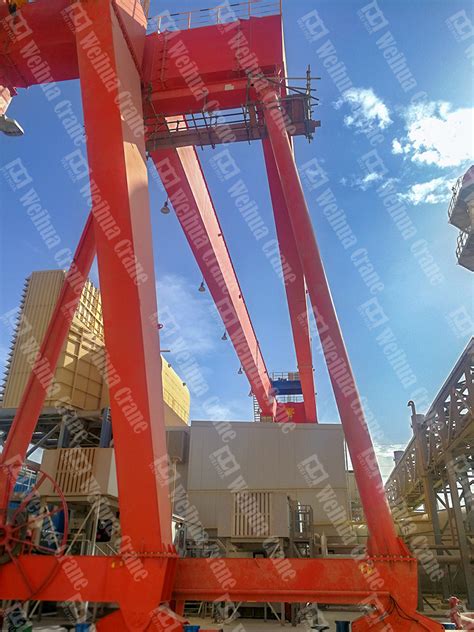 Gantry Crane Project Launched Successfully for Egypt Elsewedy Electric