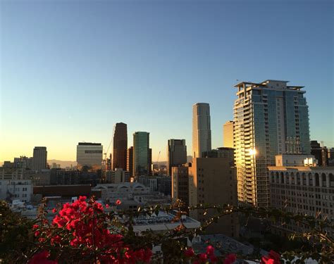 Upstairs Rooftop Bar Ace Hotel Downtown Los Angeles Ace Hotel Rooftop