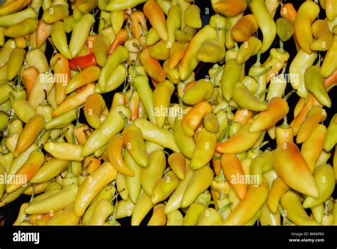 Kerala tasty Spices Stock Photo - Alamy