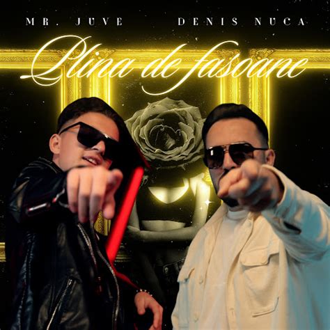 Plina De Fasoane Feat Denis Nuca YouTube Music