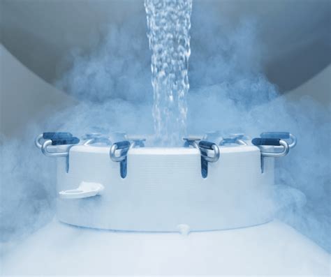 nitrogen cycle   impact  planet life