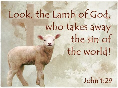 Behold The Lamb Of God Who Takes Away The Sins Of The World Community