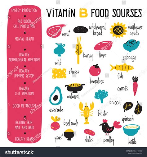 Vitamin B Source: Over 545 Royalty-Free Licensable Stock Vectors & Vector Art | Shutterstock