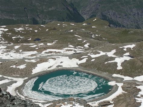 Simply Susan: Alpine Gardens of Switzerland