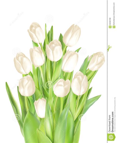 Tulips Decorative Background Eps Stock Vector Illustration Of