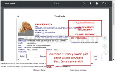 Como Anular Factura Electrónica ⚠️ Facturaoboleta