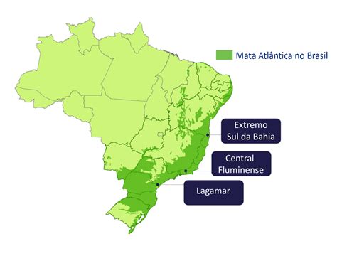 A Maior Parte Da Mata Atlântica é Influenciada Pelo Clima