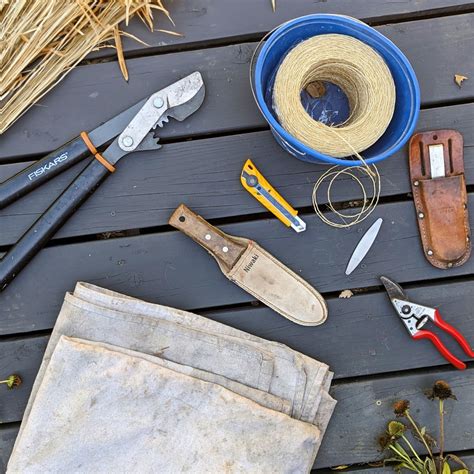 How to trim ornamental grasses – a neat and simple method that won’t