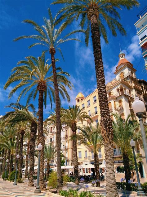 ultimate  day alicante travel itinerary artofit