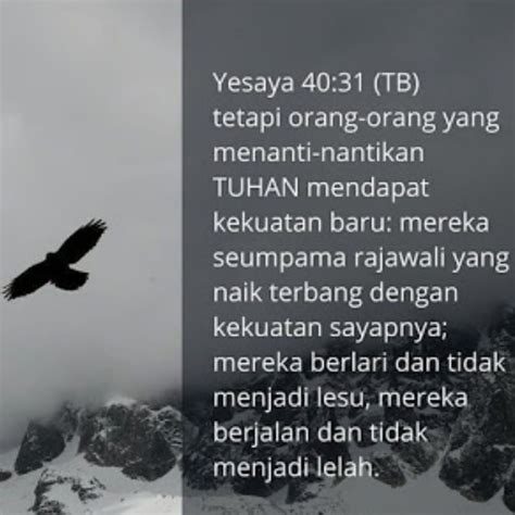 Kata Kata Bijak Dari Ayat Alkitab Motivasi Bijak Inspirasi