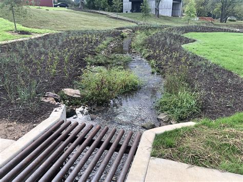 Clean Water Creatures — Illinois River Watershed Partnership