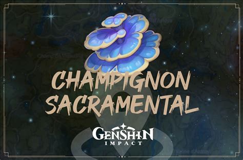 Genshin Impact O Trouver Des Champignons Sacramentaux Next Stage