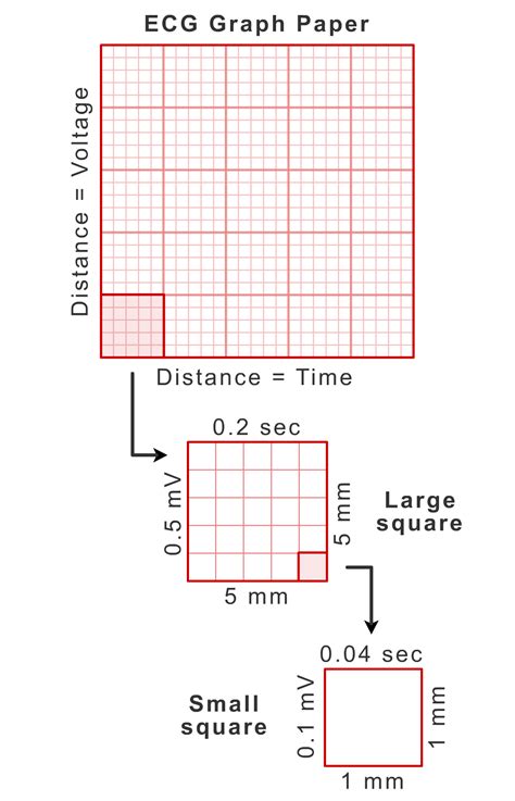 Ekg Graph Paper