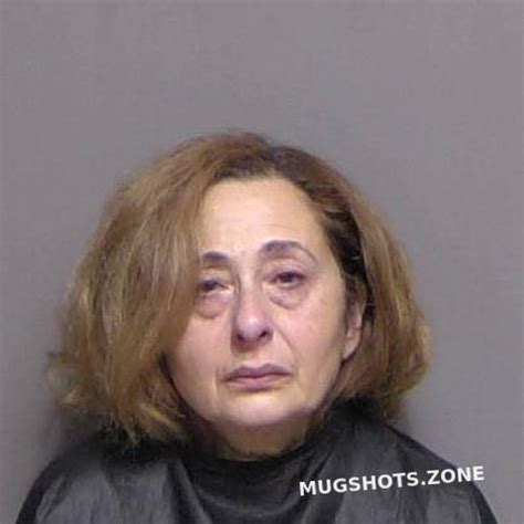 AGAYEVA ARZU 01 23 2024 Flagler County Mugshots Zone