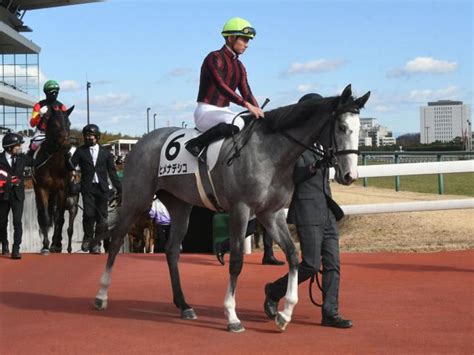 【メイクデビュー中京5rレース後コメント】ヒメナデシコ岩田望来騎手ら 競馬ニュース Netkeiba