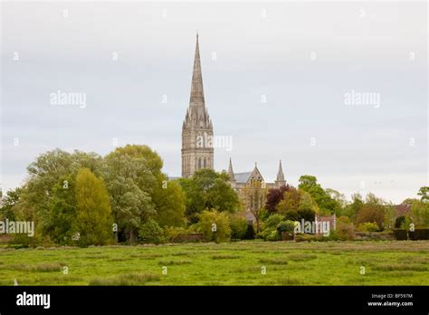 Salisbury Cathedral In Wiltshire England Uk Stock Photo Alamy