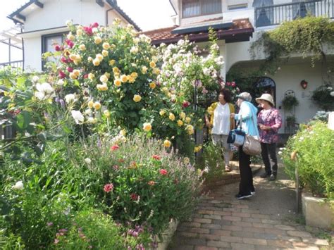 いも子の薔薇塾生のお庭拝見 おまけの人生