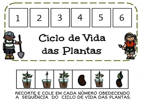 Ciclo de vida das plantas Atividade para trabalhar o ciclo de vida das ...