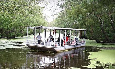 Cajun Pride Swamp Tours In Laplace Louisiana Groupon