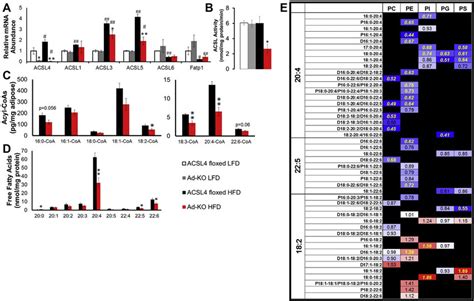 Ad Ko Mice Fed Hfd Have Alterations In Adipocyte Acsl Activity N 6