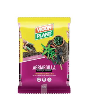 Vigorplant Vendita Online Cascone Piante