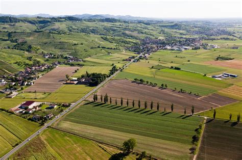 LAgro Pontino una distesa di campi da 1 180 km²