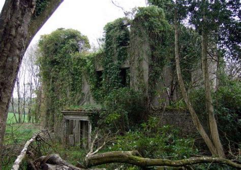 Plants That Grow In Abandoned Buildings Urban Ghosts