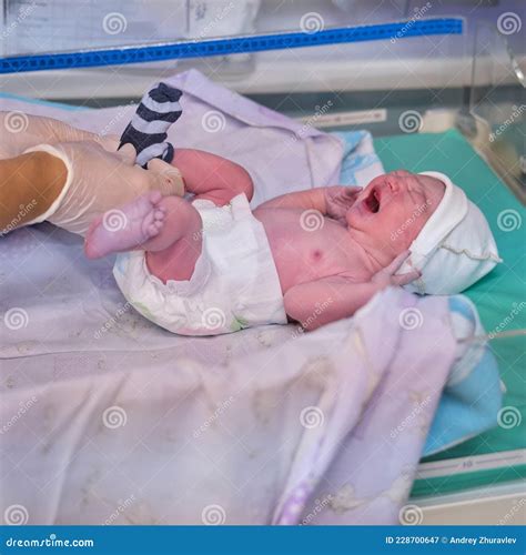 Dressing Sock a Newborn Baby by a Doctor Immediately after Birth Stock