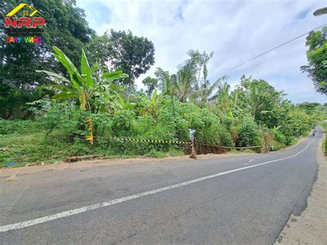 Dijual Tanah Kering Di Tepi Jl Pendarungan Banyuwangi