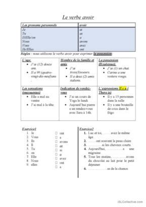 Avoir Fran Ais Fle Fiches Pedagogiques Pdf Doc