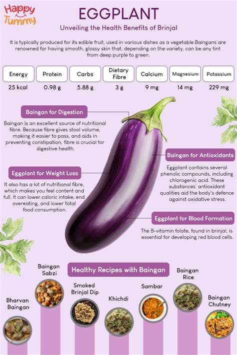 Top 4 Health Benefits of Brinjal(Eggplant) - Happytummy