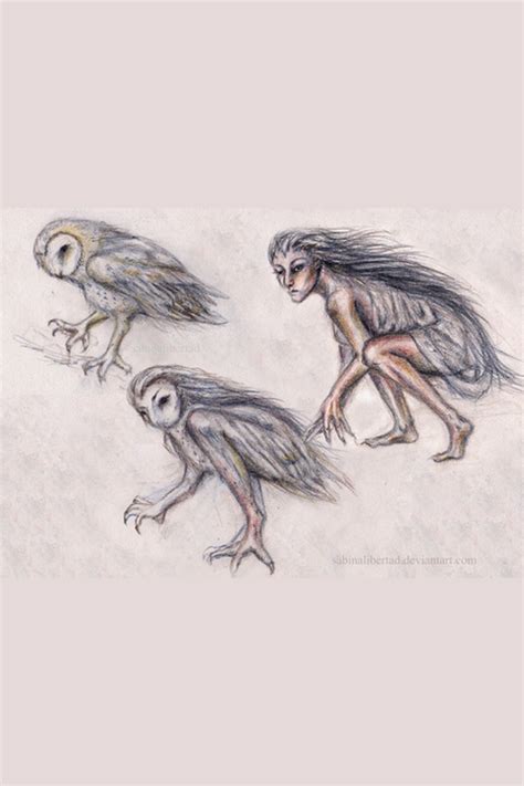 La Lechuza (the Witch Owl) | Scary paintings, Scary owl, Mythical ...