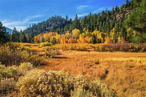 Autumn Beauty in Hope Valley Photograph by Lynn Bauer - Fine Art America