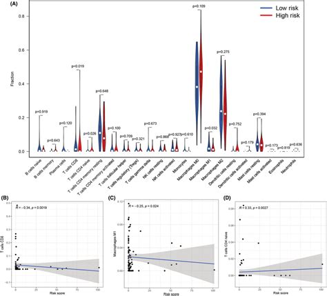 Relationship Between The Cuproptosis‐related Lncrna Signature And