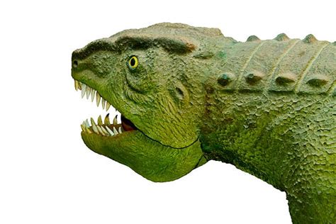archosaur stock  pictures royalty  images istock
