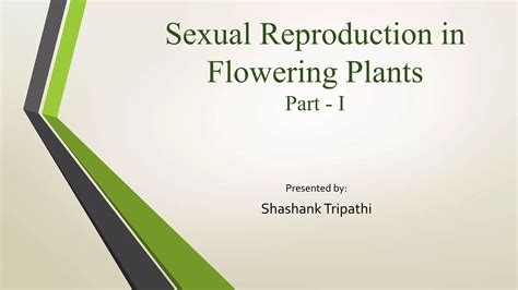 Sexual Reproduction In Flowering Plants Part I Ppt