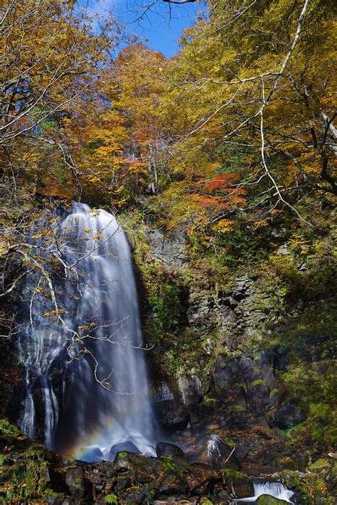 Waterfall Cliff Trees Stones Water Hd Phone Wallpaper Peakpx