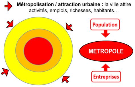 La M Tropolisation Un Processus Mondial Diff Rencier Flashcards Quizlet