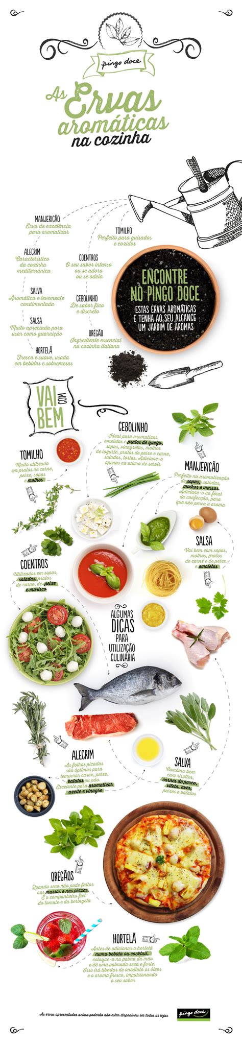 Como plantar ervas aromáticas