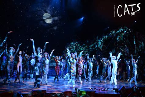 cats boston musical 6