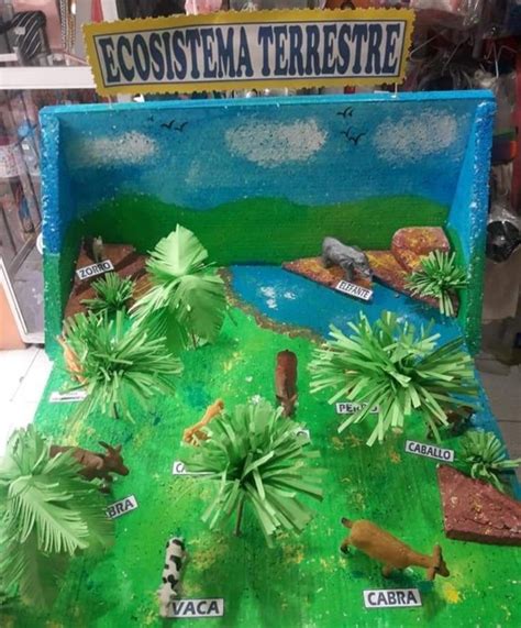 Maqueta Ecosistema Terrestre Maquetas De Ecosistemas Ecosistemas