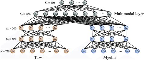 The Multimodal Deep Learning Network Architecture Used To Extract A