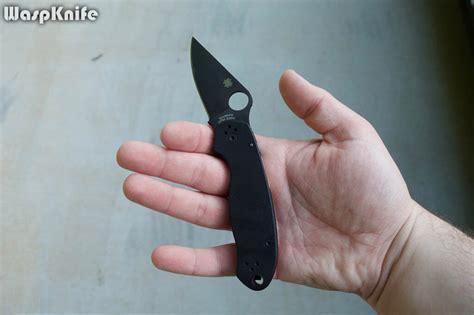 Spyderco Para 3 Review Your Next Edc Knife 2024