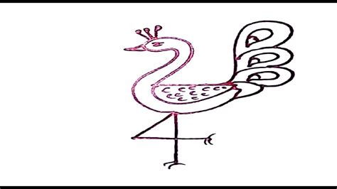 Simple Peacock Drawing Free Download On Clipartmag