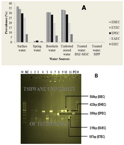 Ijerph Free Full Text Dramatic Reduction In Diarrhoeal Diseases Through Implementation Of