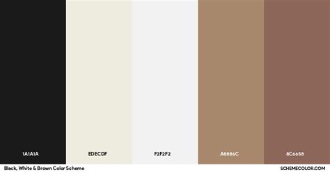 Black, White & Brown Color Scheme - Palettes - SchemeColor.com