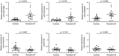 Serum Exosomal Long Noncoding Rnas As A Diagnostic Biomarker For Atrial