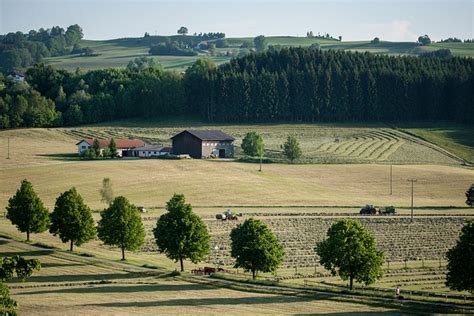 Prairie Sur Le Terrain Foins Photo Gratuite Sur Pixabay Pixabay