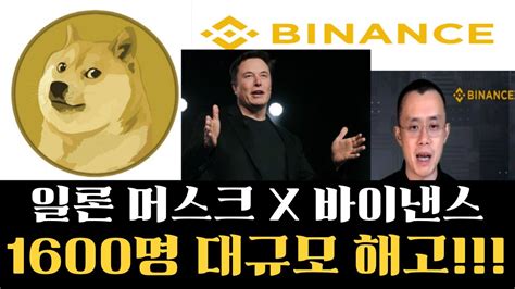 도지코인 긴급속보 일론머스크x바이낸스창펑자오 1600명 대규모 해고한다 지금빨리보셔야합니다 도지코인목표가 도지